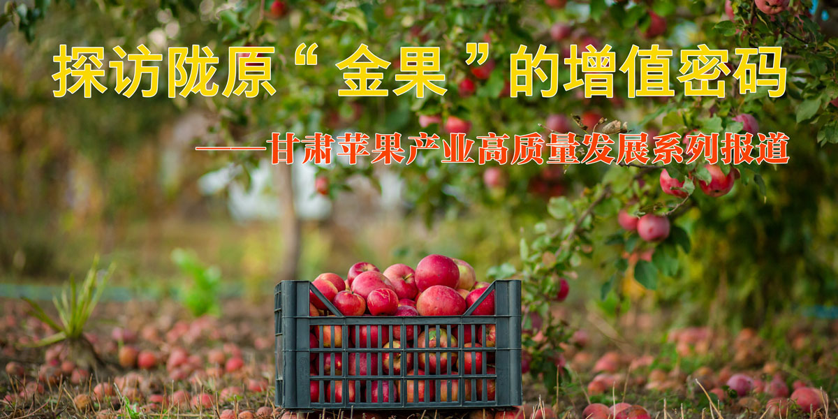 COa(chn)I(y)|(zh)l(f)չϵЈ